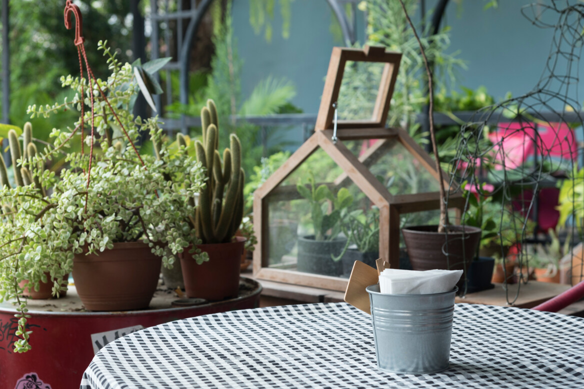 Πώς να δημιουργήσουμε τον τέλειο κήπο στο μπαλκόνι