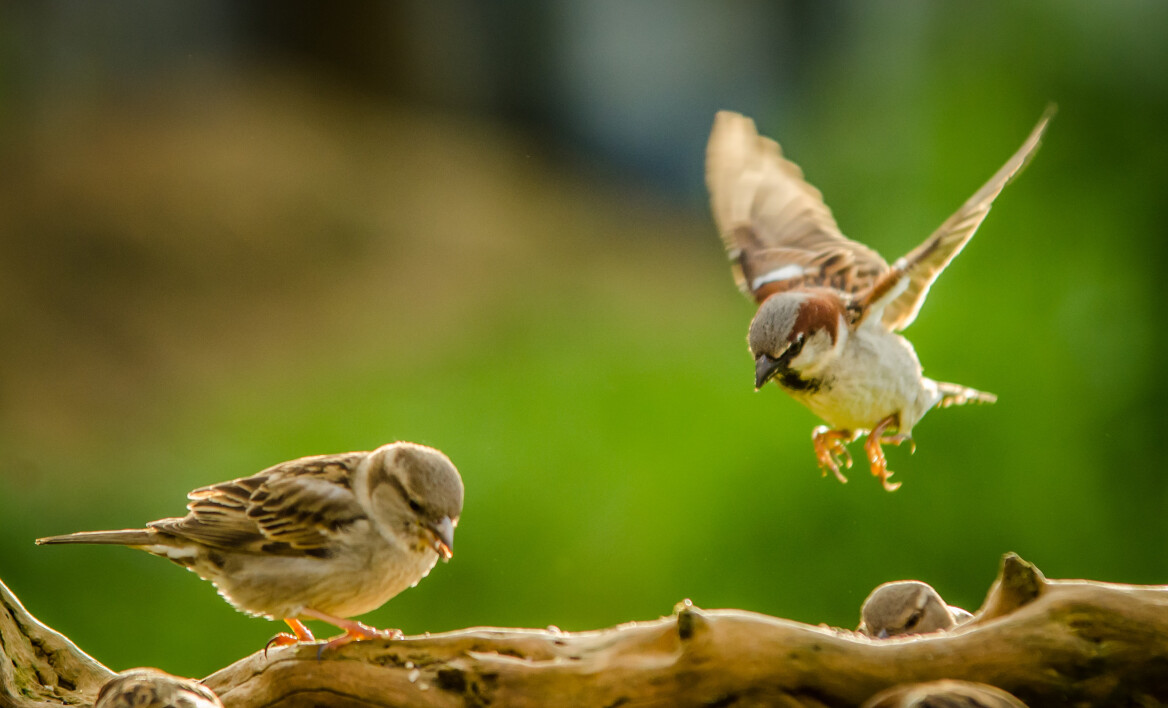 Αστική αναζωογόνηση ή πώς οι πόλεις μπορεί να γίνουν και πάλι βιώσιμες