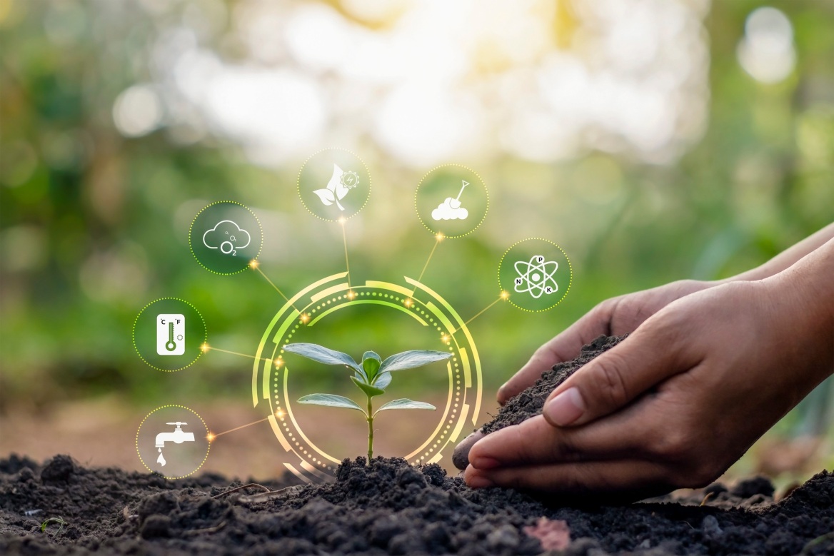 Αυτές είναι οι κορυφαίες τάσεις βιωσιμότητας για το 2025