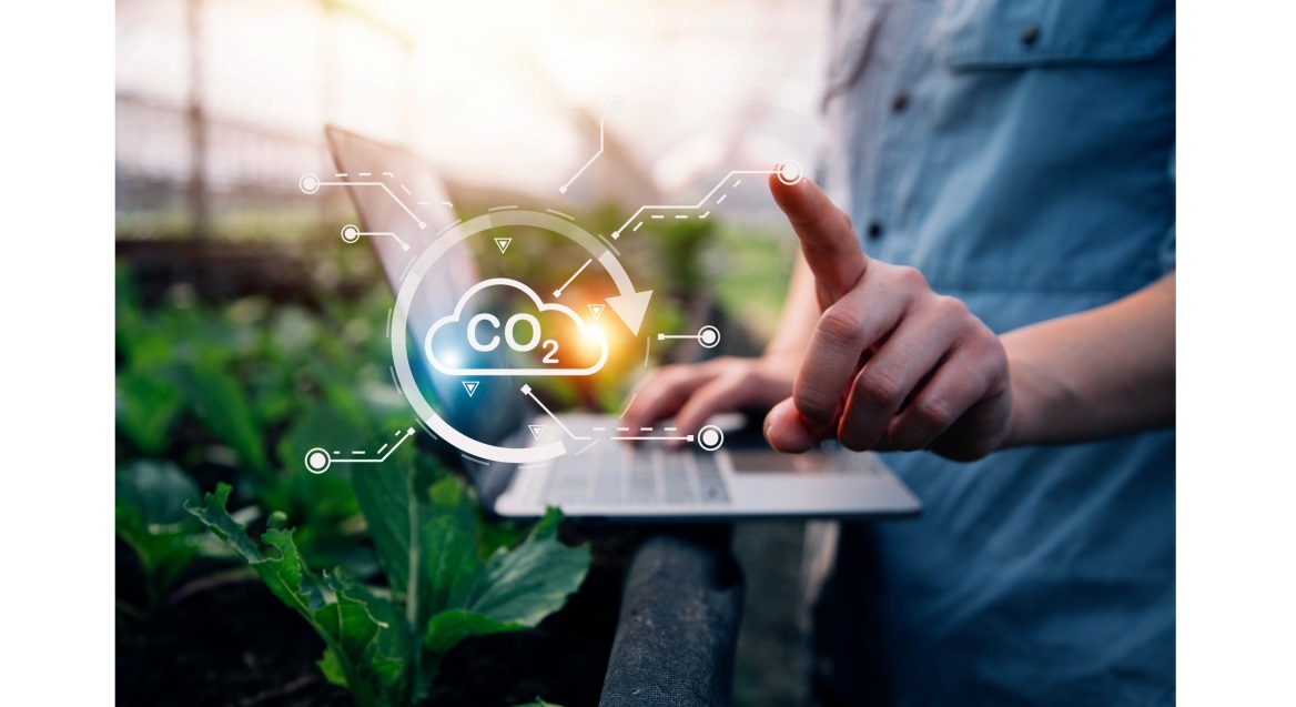 Start-up αξιοποιεί το θαλασσινό νερό και το ηλιακό φως για να απομακρύνει διοξείδιο του άνθρακα