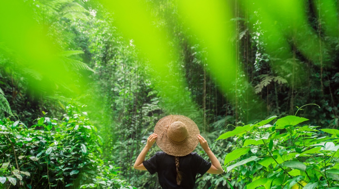 Παγκόσμια Ημέρα Περιβάλλοντος: Ο πλανήτης δεν μας ανήκει, μας φιλοξενεί