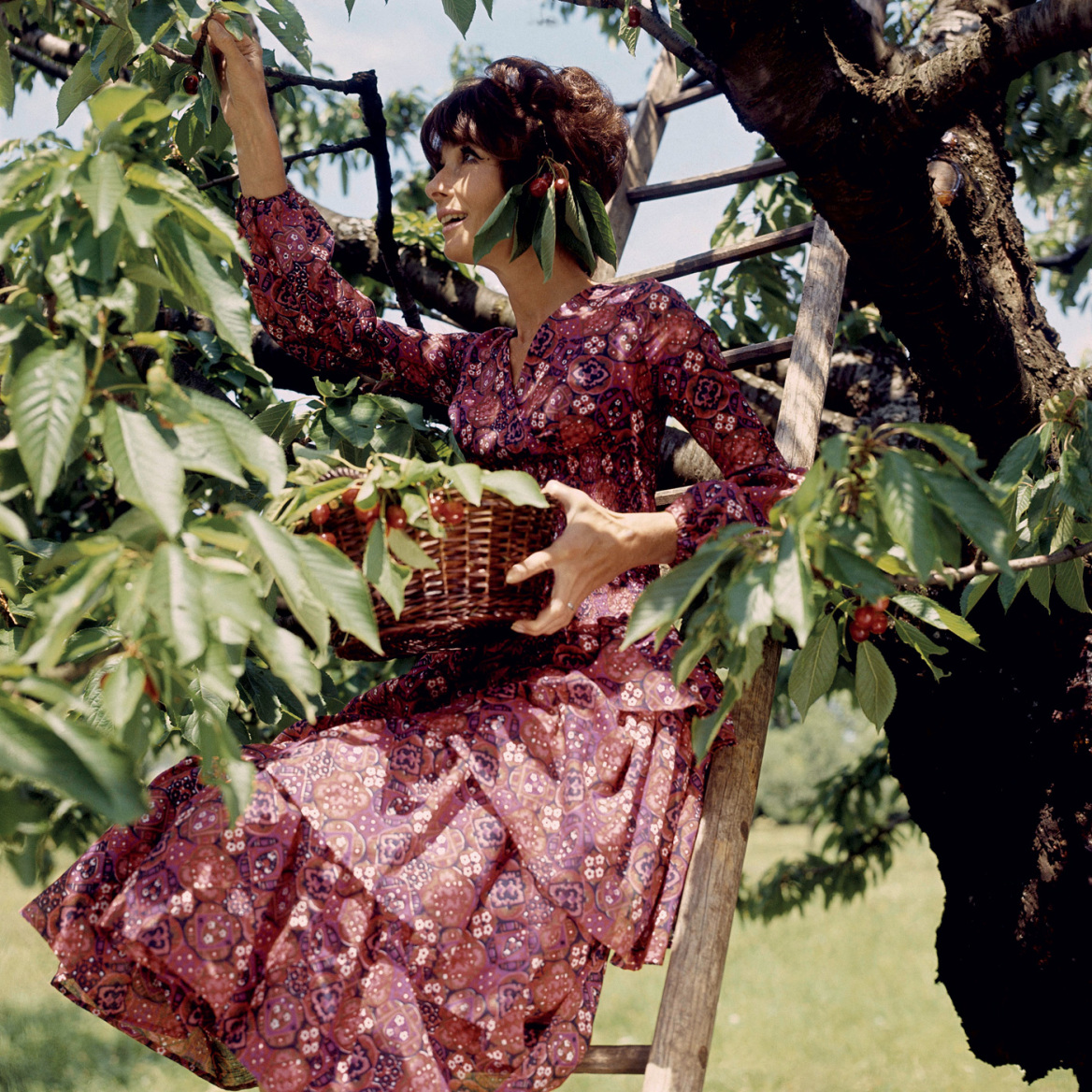 La Paisible: Η τελευταία «σκηνή»της Οντρεϊ Χέπμπορν
