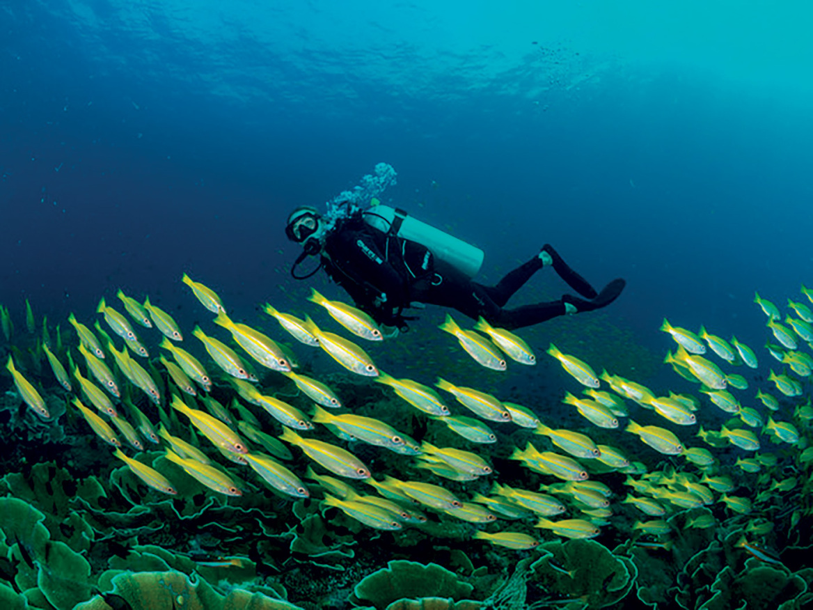 Γιατί η Αλεξάνδρα Κουστό επέλεξε να ξεκινήσει από την Αθήνα τη «Συμμαχία των γαλάζιων πόλεων»
