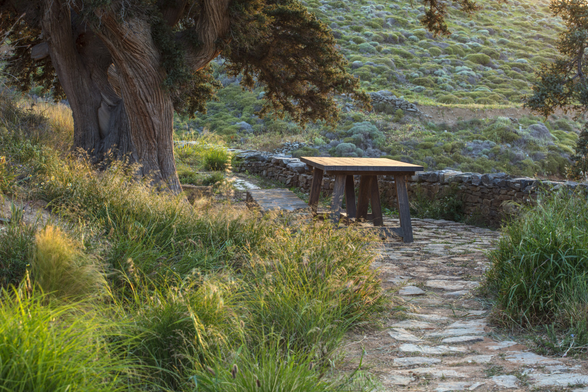 doxiadis__olr_7_photo_clive_nichols