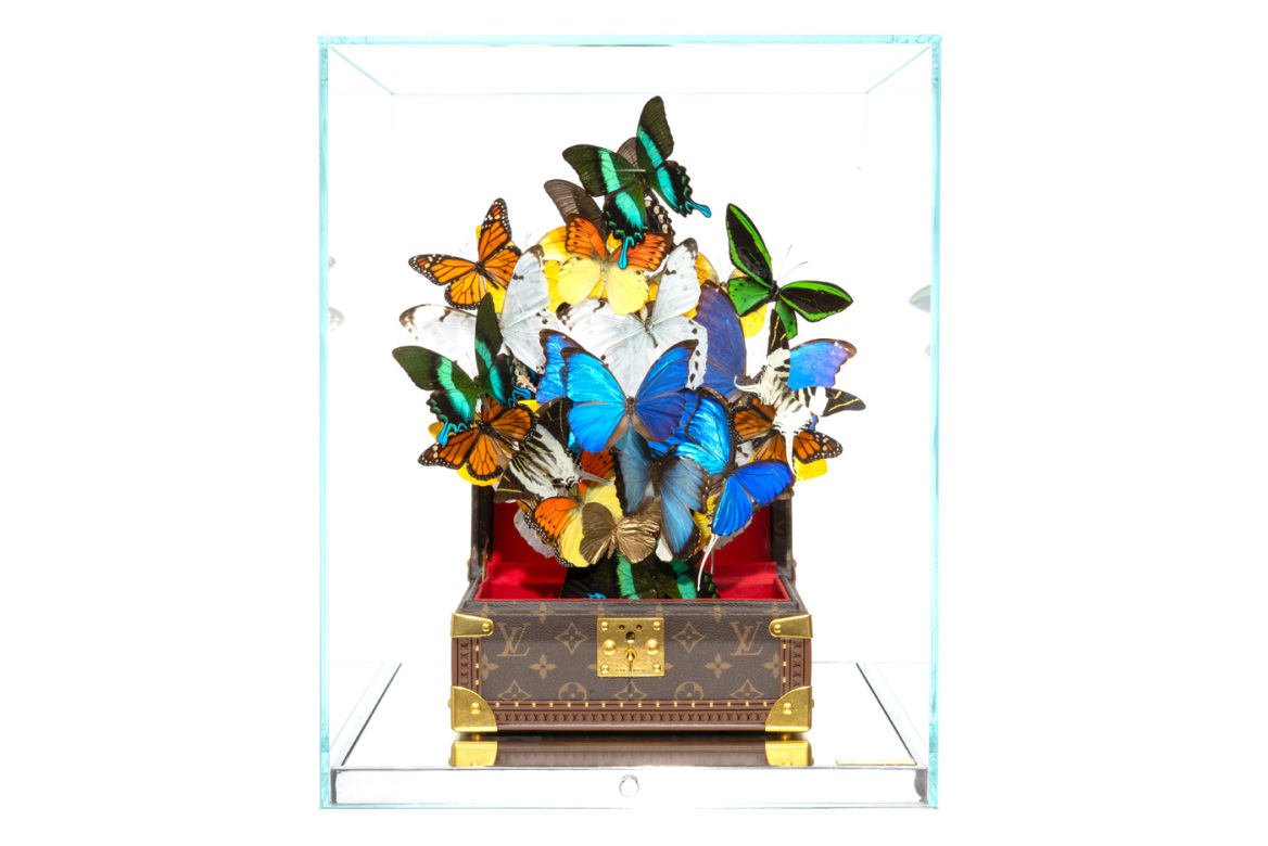 Roman Feral: Οι πεταλούδες που λάτρεψε η Chanel 