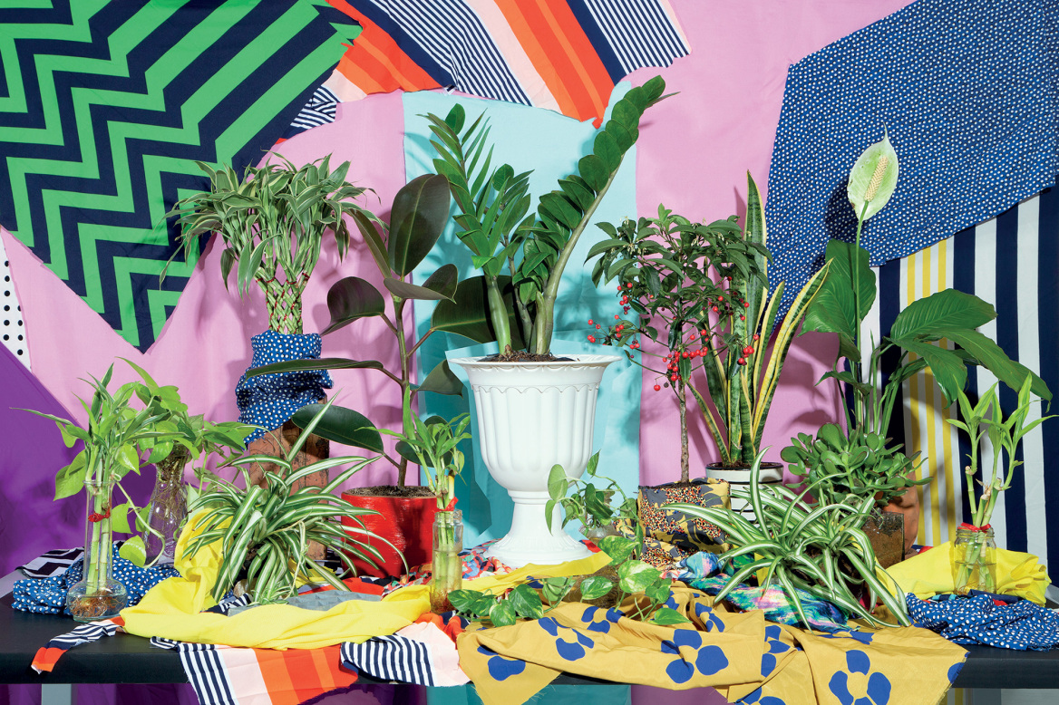 Γουάβι Ναβαρόζα: Ανάμεσα σε δυο κόσμους