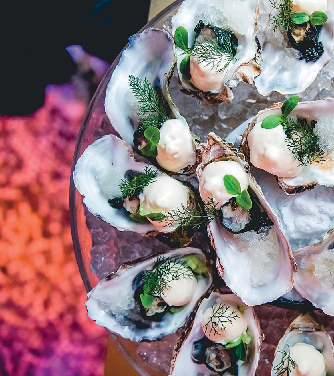 Botanic Sanctuary Antwerp, στον κόσμο της αθόρυβης πολυτέλειας