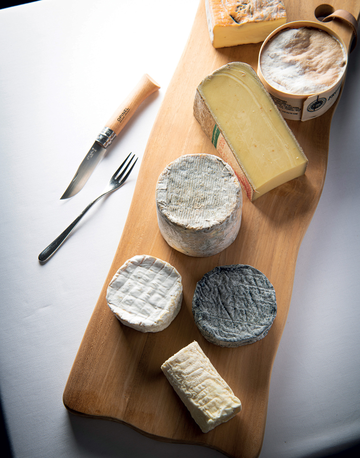 Botanic Sanctuary Antwerp, στον κόσμο της αθόρυβης πολυτέλειας