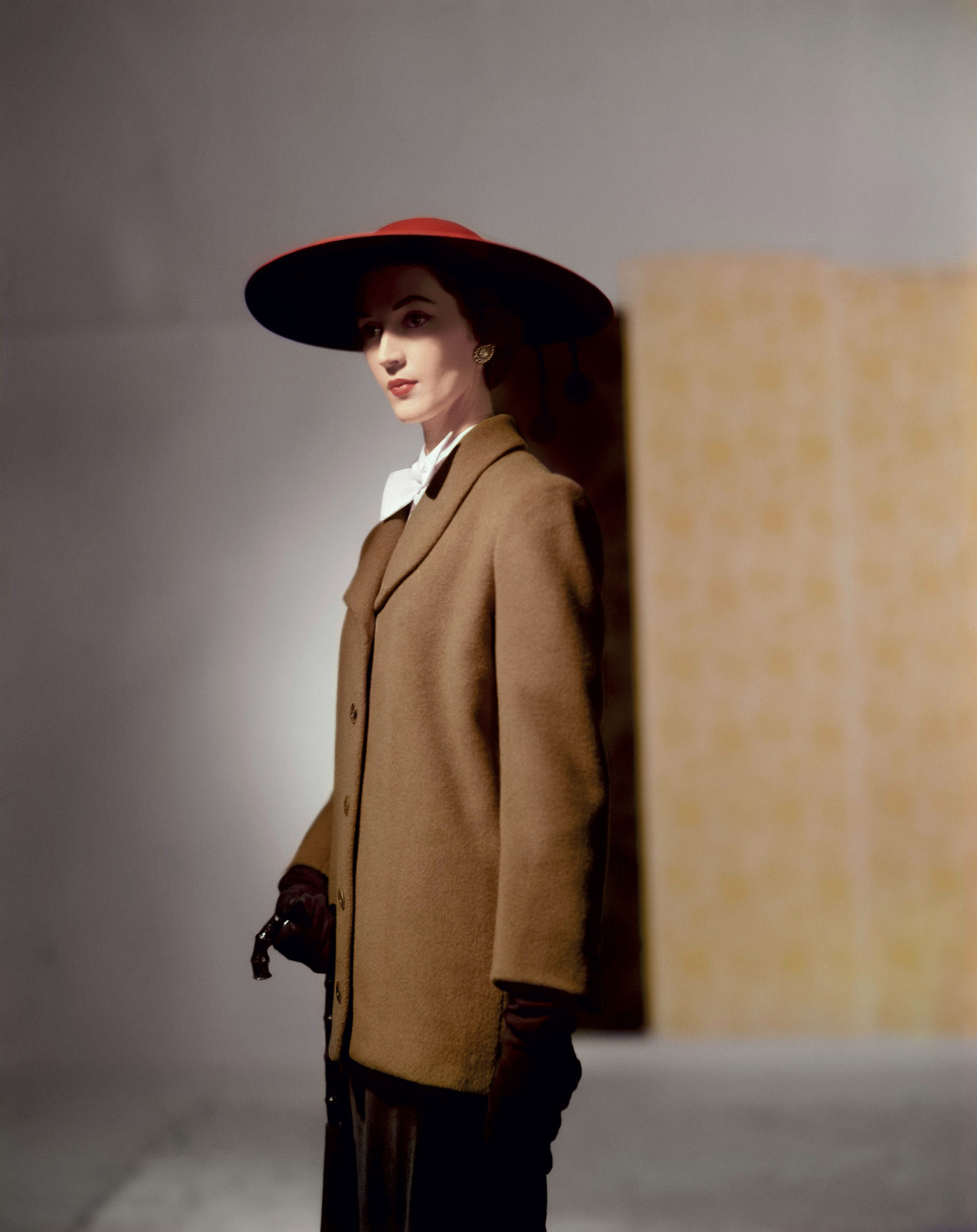 Dovima, το πρώτο supermodel όλων των εποχών