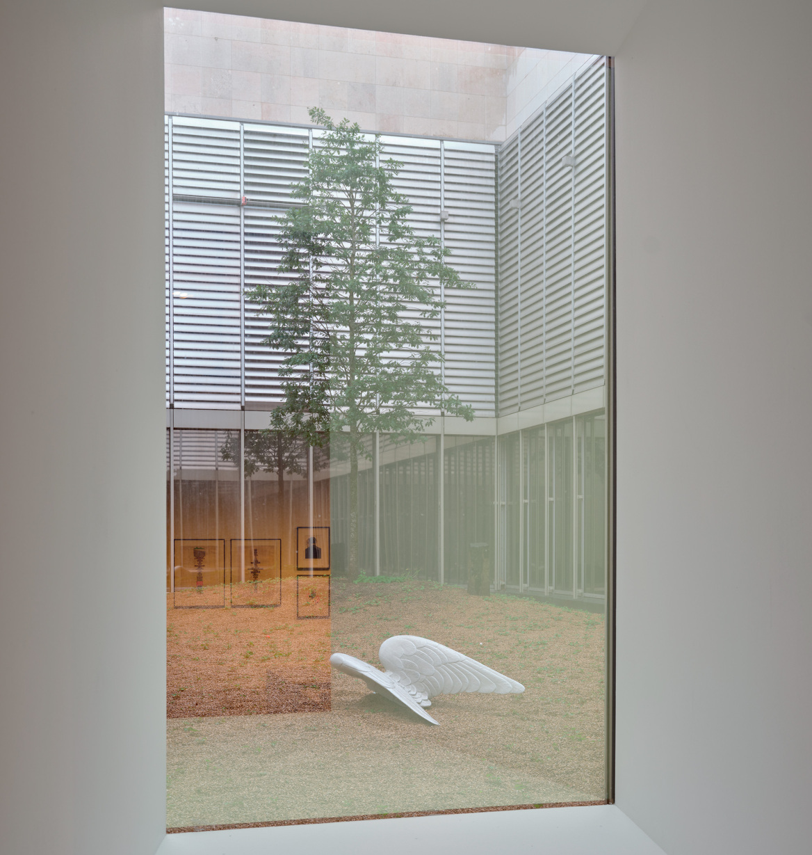 Wim Wenders: Η τέχνη της θέασης