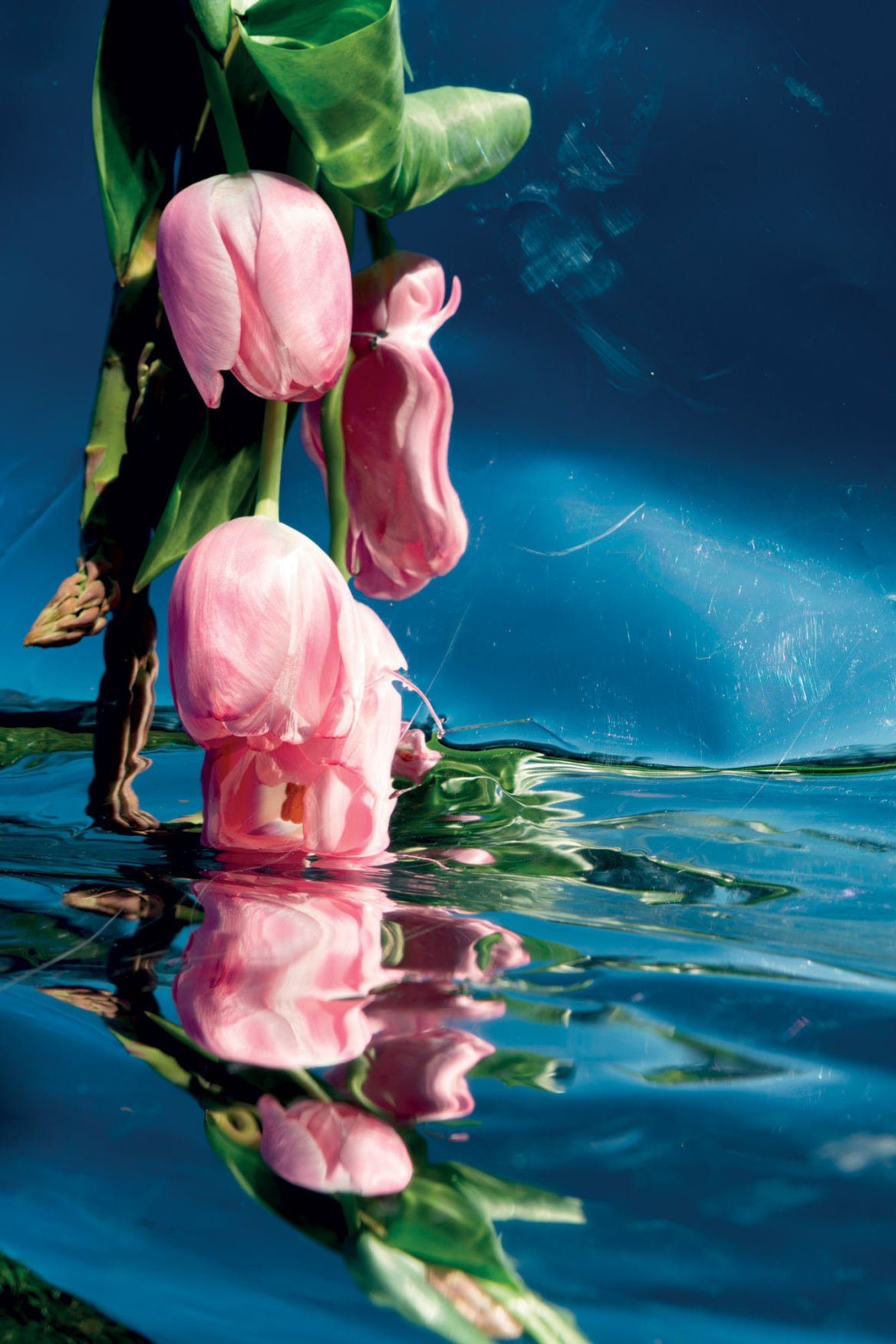 Henriette Sabroe Ebbesen: Πορτρέτα με σώμα και πνεύμα
