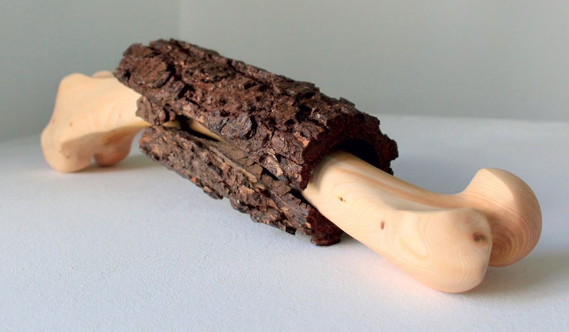 Lélia Demoisy: Γλυπτική με υλικά της φύσης