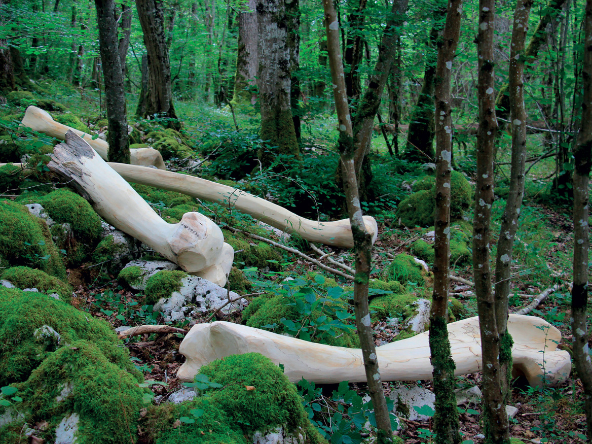 Lélia Demoisy: Γλυπτική με υλικά της φύσης