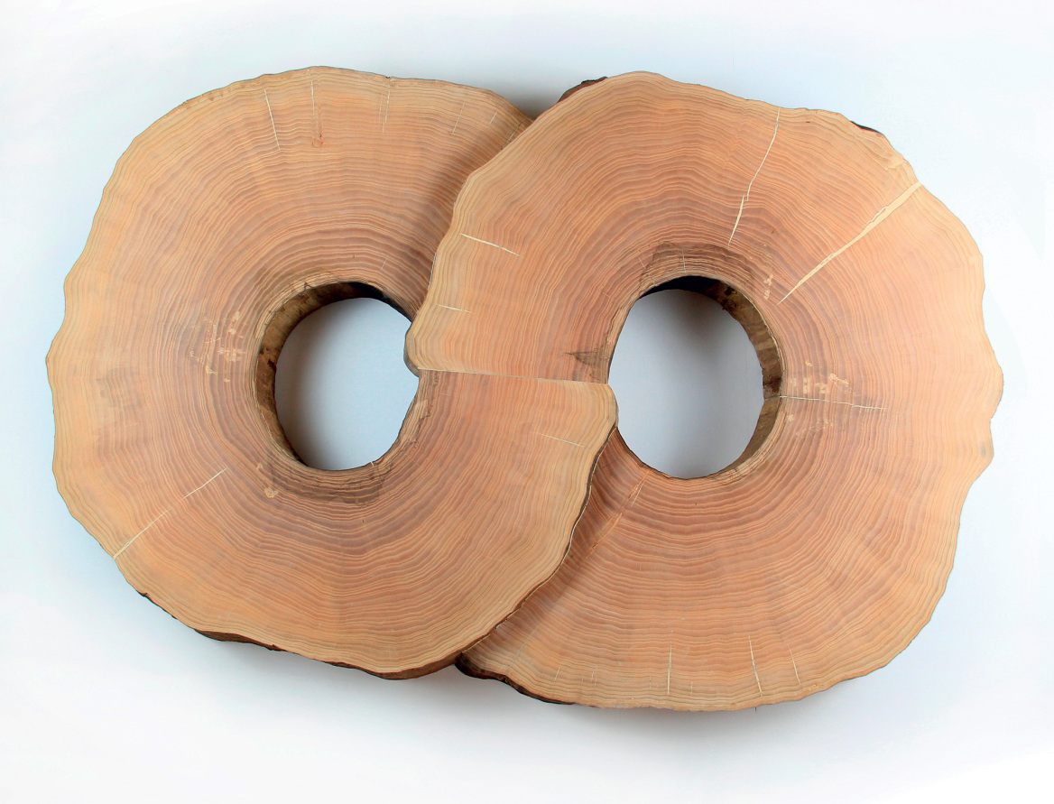 Lélia Demoisy: Γλυπτική με υλικά της φύσης