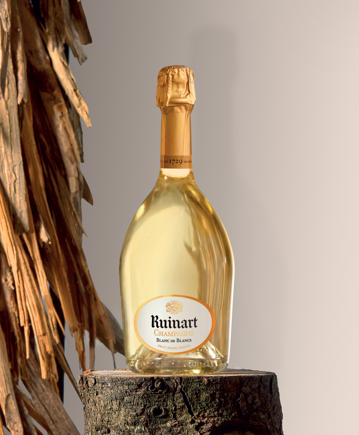 Lélia Demoisy: Γλυπτική με υλικά της φύσης