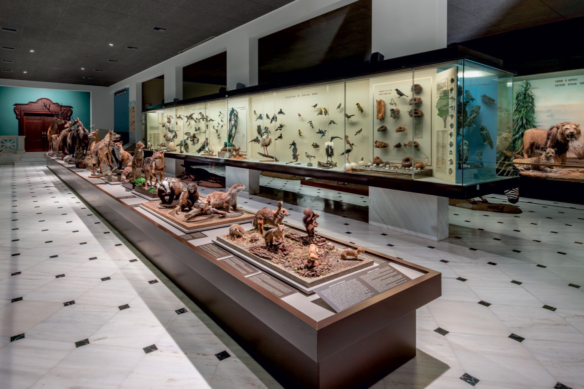 Ματίας Κλουμ, ο ατρόμητος φωτογράφος του «National Geographic»
