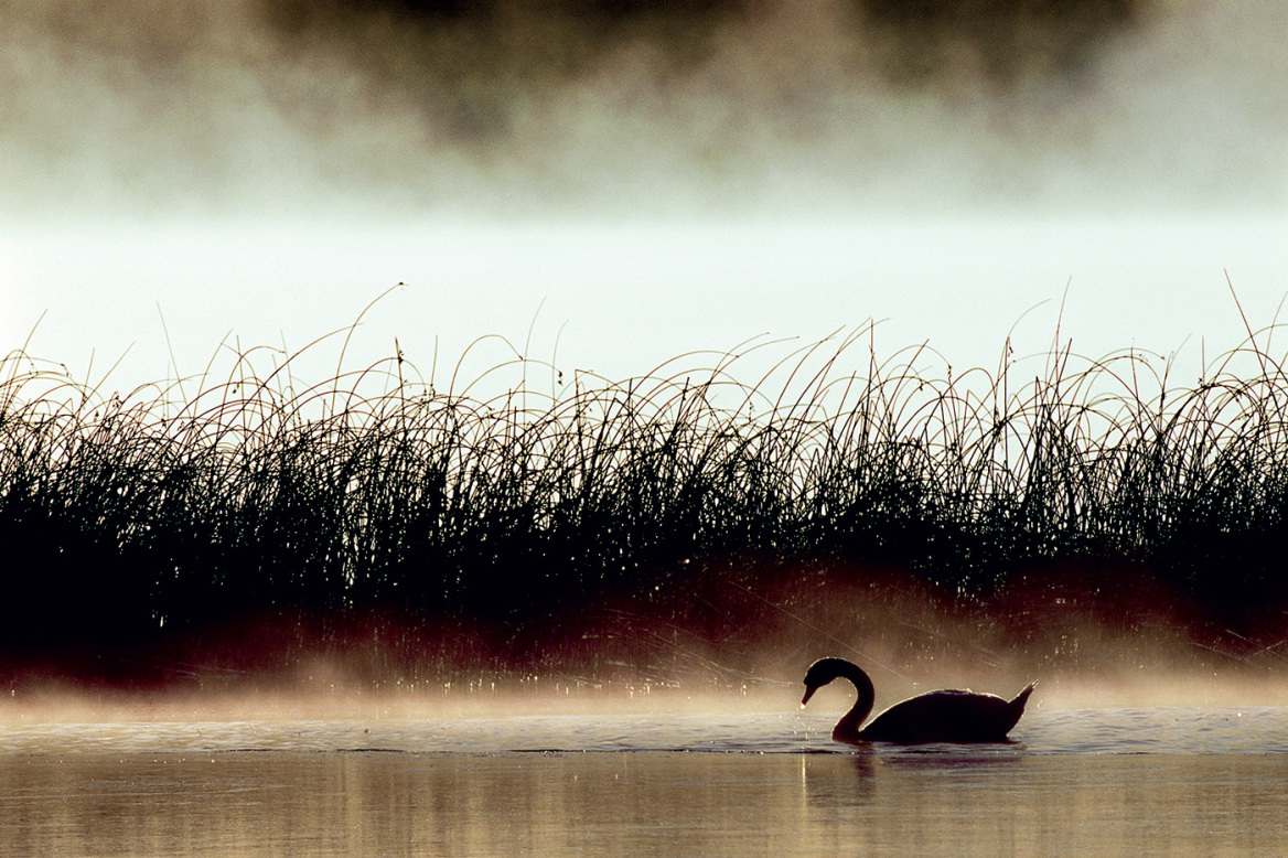 Ματίας Κλουμ, ο ατρόμητος φωτογράφος του «National Geographic»
