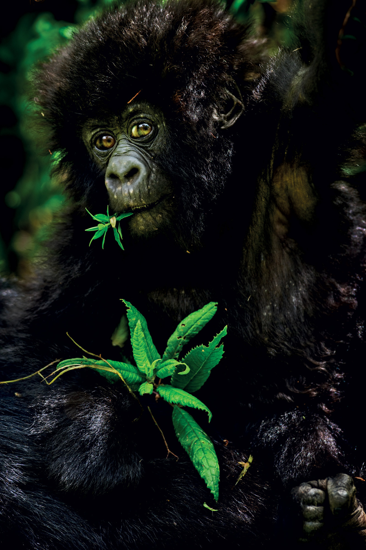 Ματίας Κλουμ, ο ατρόμητος φωτογράφος του «National Geographic»
