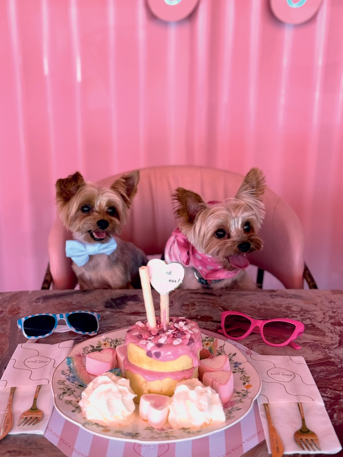 Αγγελική Χόντου: Τσάι και παραμύθια στο Pink Dot