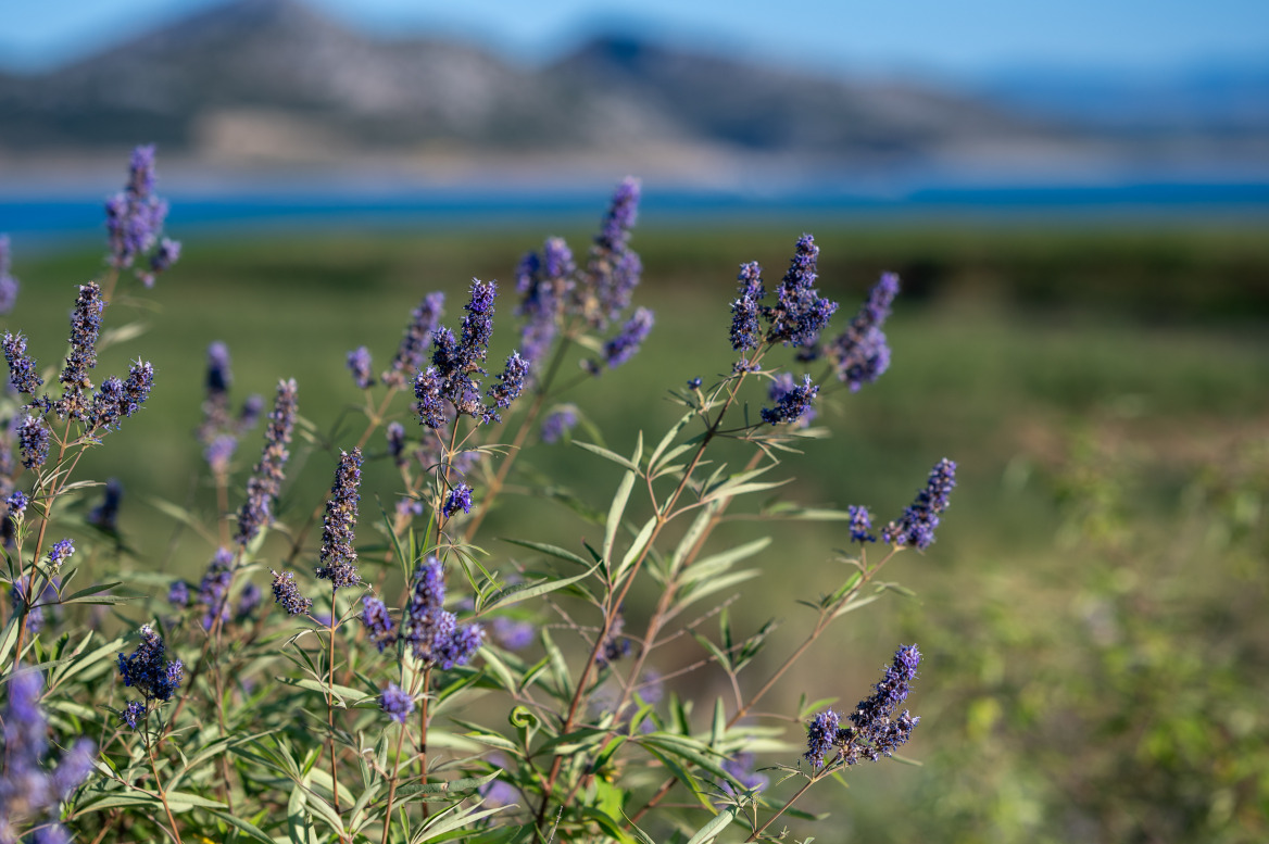 Zero Drop: Καμία σταγόνα νερού χαμένη