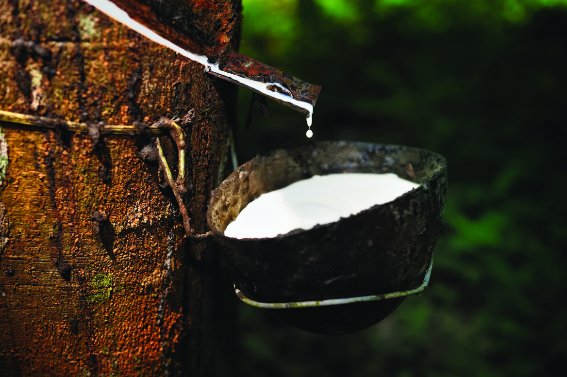 Νέα χρονιά, ίδιος στόχος: Να ξυπνάμε κάθε μέρα καλά