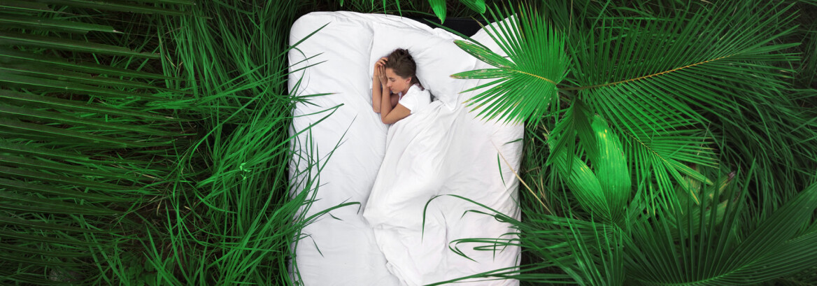 Νέα χρονιά, ίδιος στόχος: Να ξυπνάμε κάθε μέρα καλά