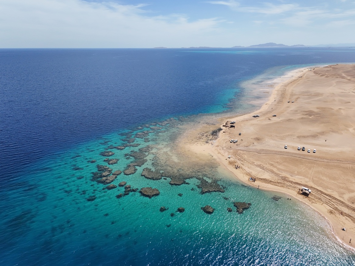 shutterstock_2461893241_f