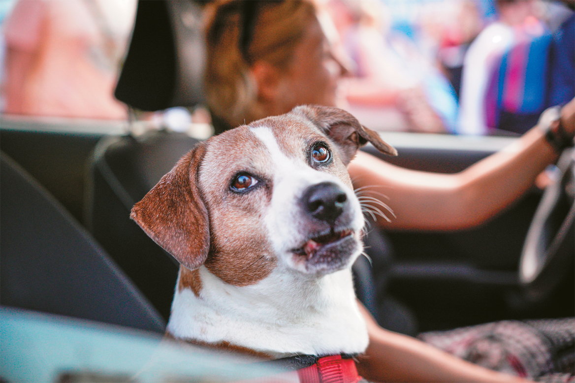Πώς άλλαξε η ελληνική οικογένεια: Η εποχή μας δημιούργησε μοντέλα που δεν υπήρχαν πριν