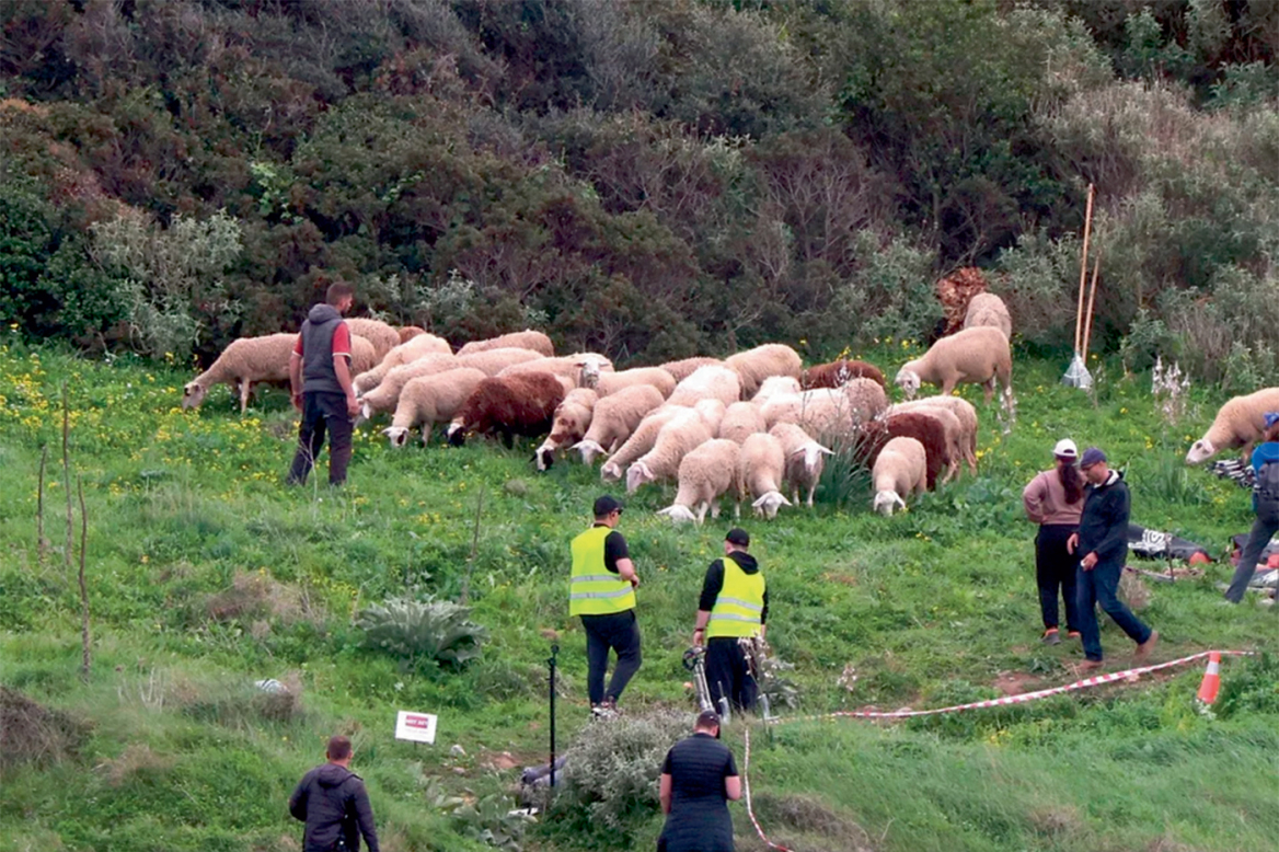 Οδύσσεια: Πώς ο... πολυμήχανος Νόλαν έχτισε την Τροία, την Ιθάκη και τον Δούρειο Ίππο