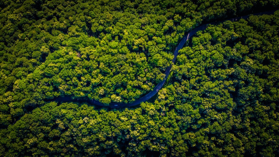 photo-1593069567131-53a0614dde1d