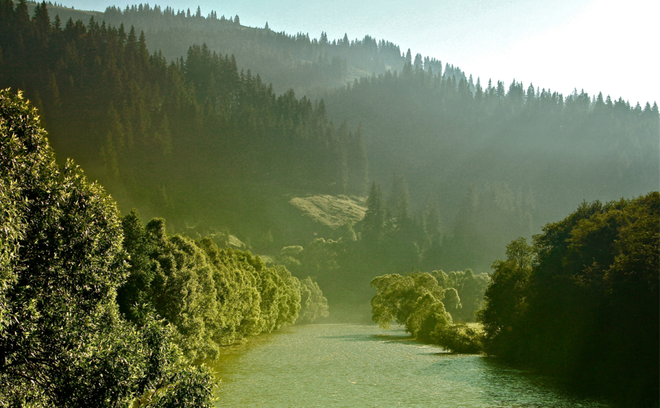 Γιατί πρέπει να πίνουμε νερό χωρίς νιτρικά άλατα