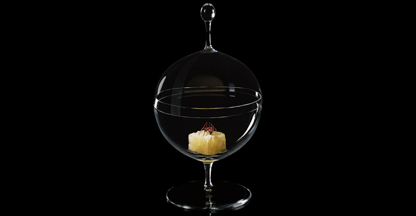 Ποια είναι τα 4 έντομα που πήραν πράσινο φως ως τα «νέα τρόφιμα»