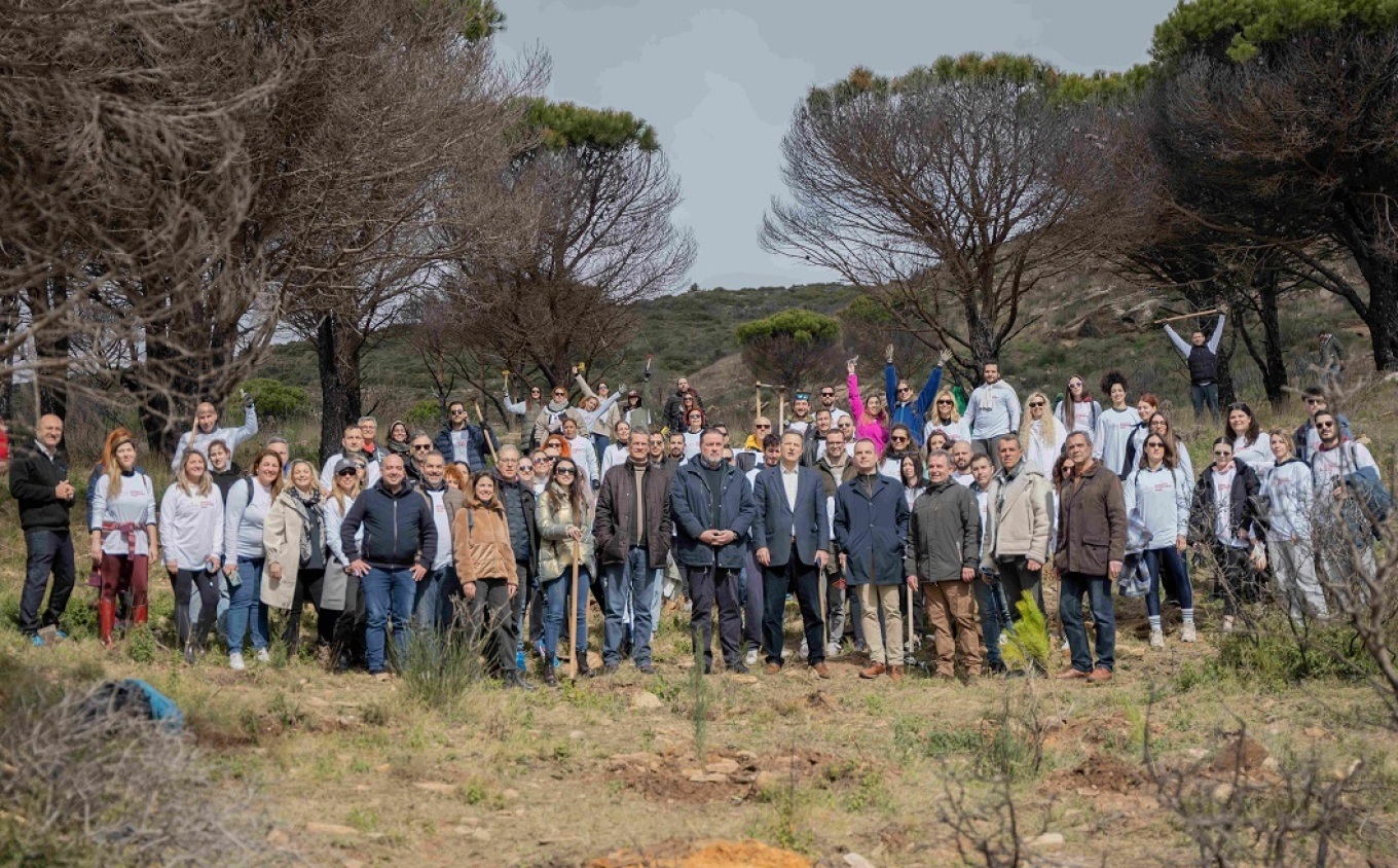 Νέα, μεγάλης κλίμακας αναδάσωση δίνει πνοή στην Πεντέλη