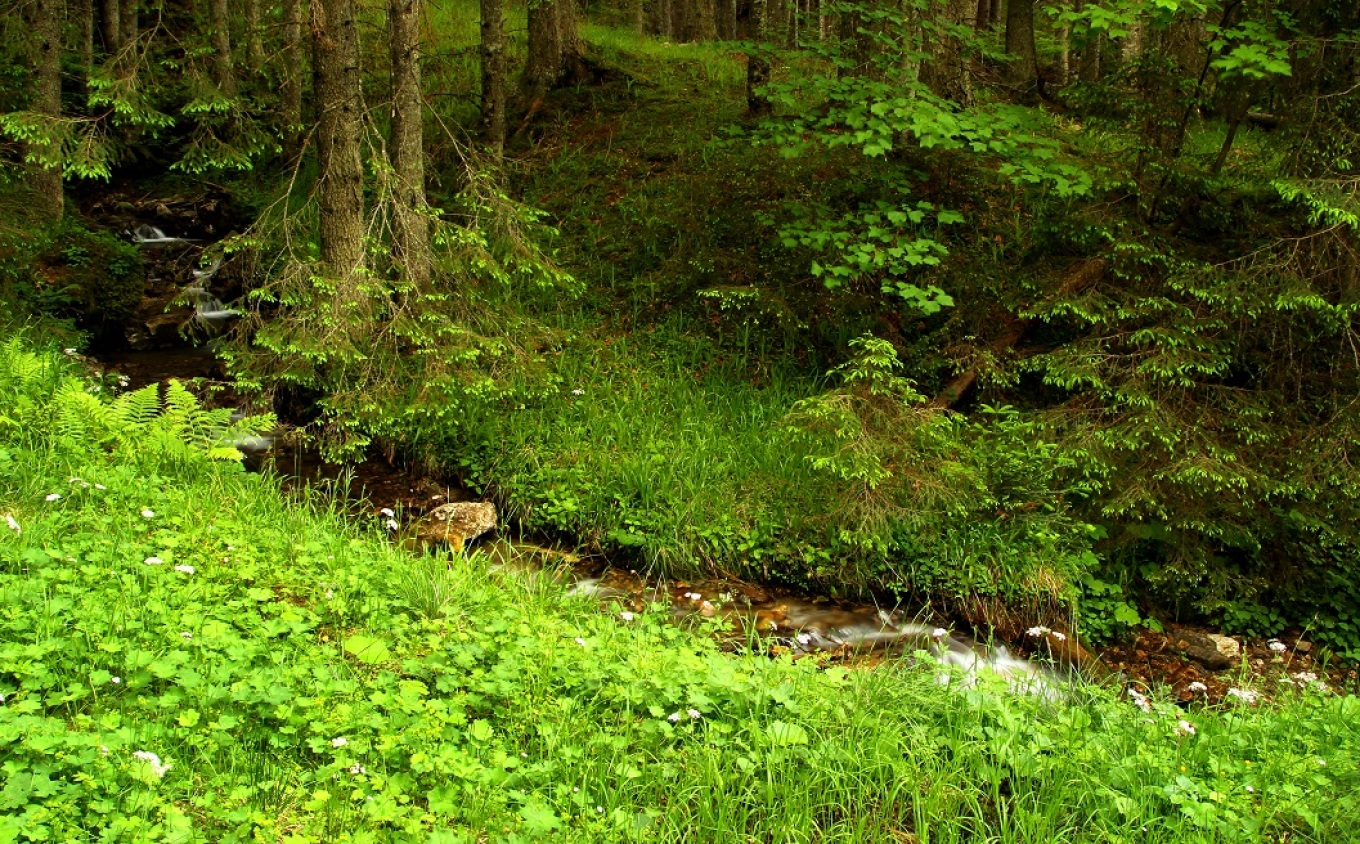 Και στο νερό, τα βραβεία κάνουν τη διαφορά