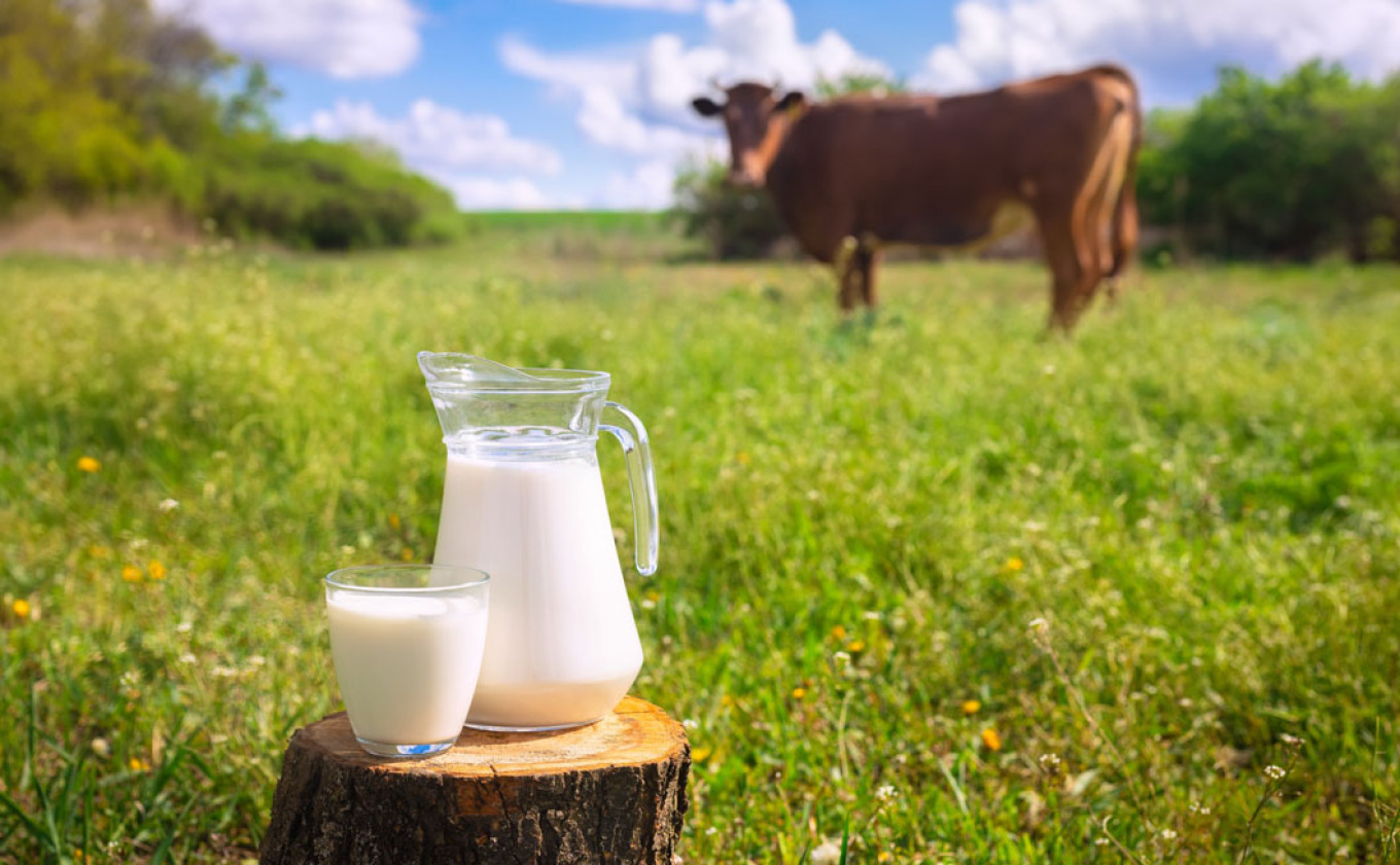 Βιώσιμη ανάπτυξη με περιβαλλοντική υπευθυνότητα και κοινωνικό πρόσημο 