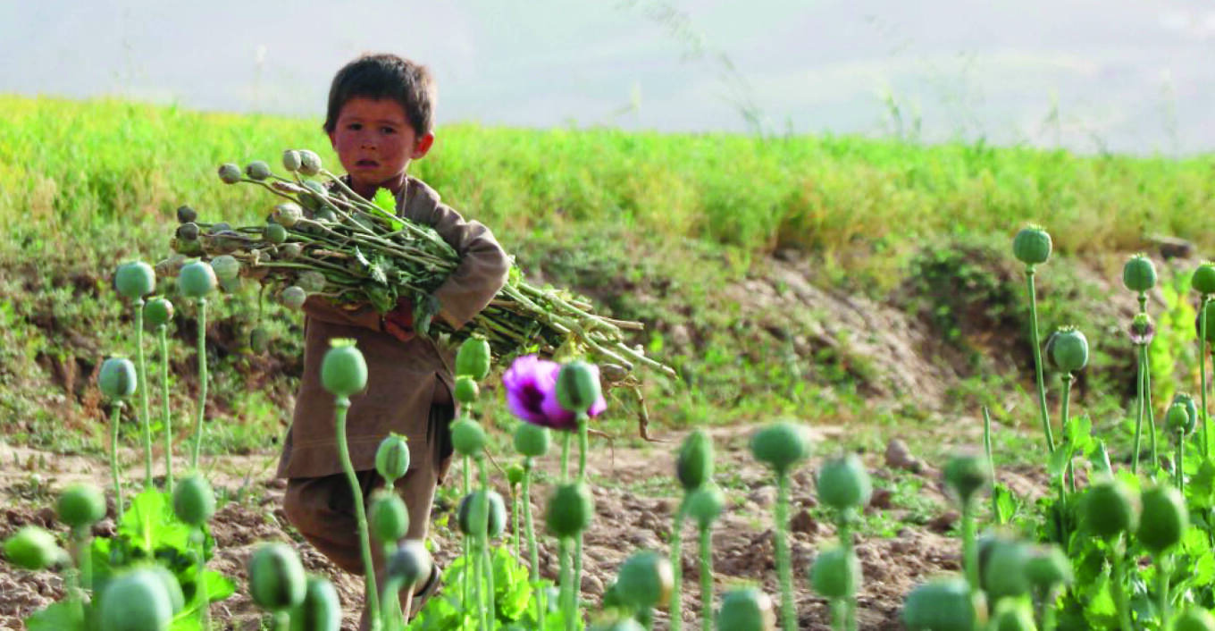 Το απόρρητο πρόγραμμα των 9 δισ. της CIA στο Αφγανιστάν - «Βομβάρδισαν» με τροποποιημένους σπόρους παπαρούνας για να πλήξουν το εμπόριο ηρωίνης