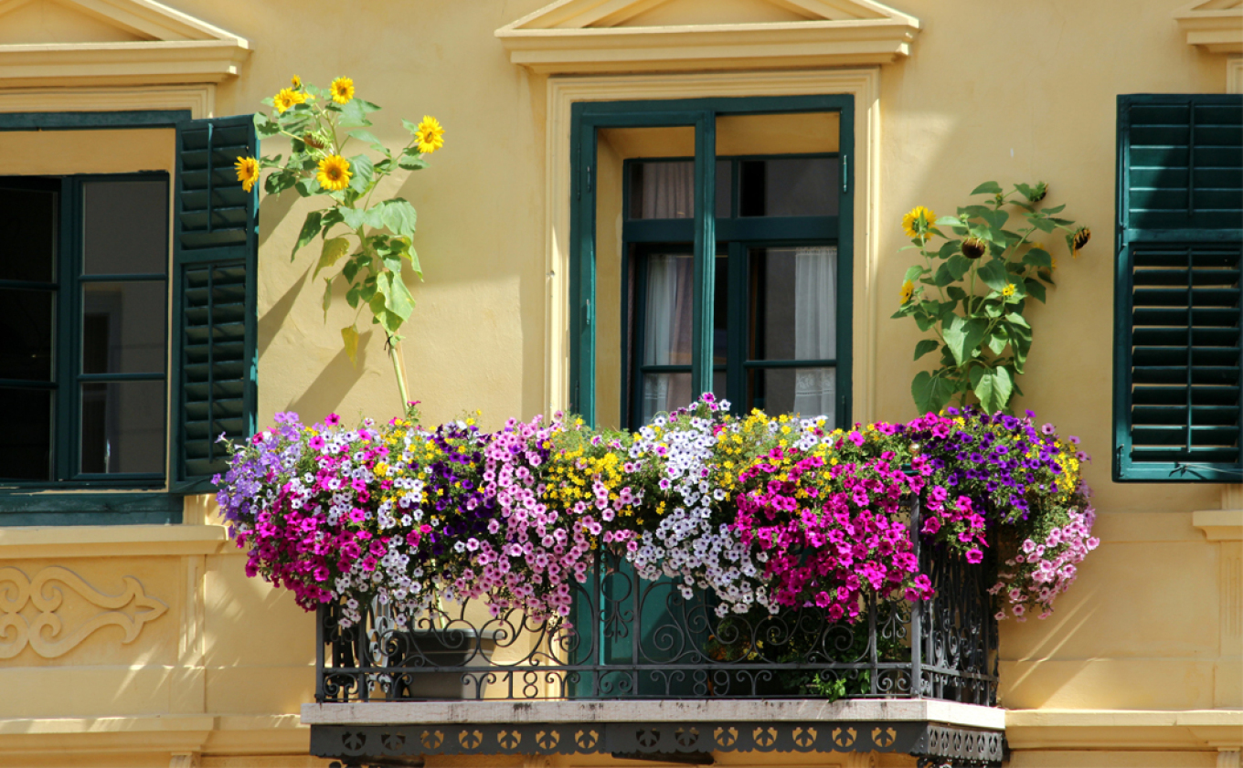 Πώς να δημιουργήσουμε τον τέλειο κήπο στο μπαλκόνι
