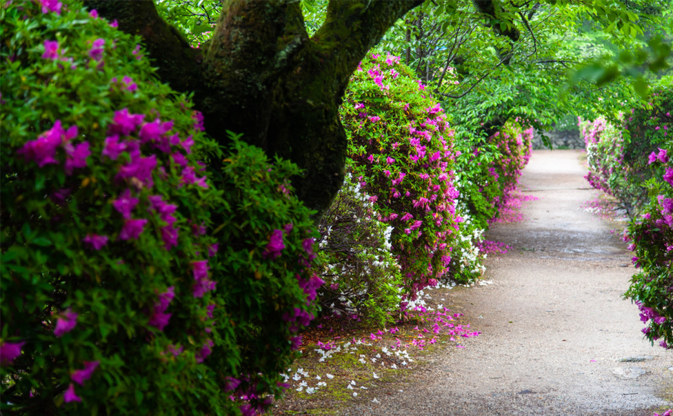 Αστική αναζωογόνηση ή πώς οι πόλεις μπορεί να γίνουν και πάλι βιώσιμες