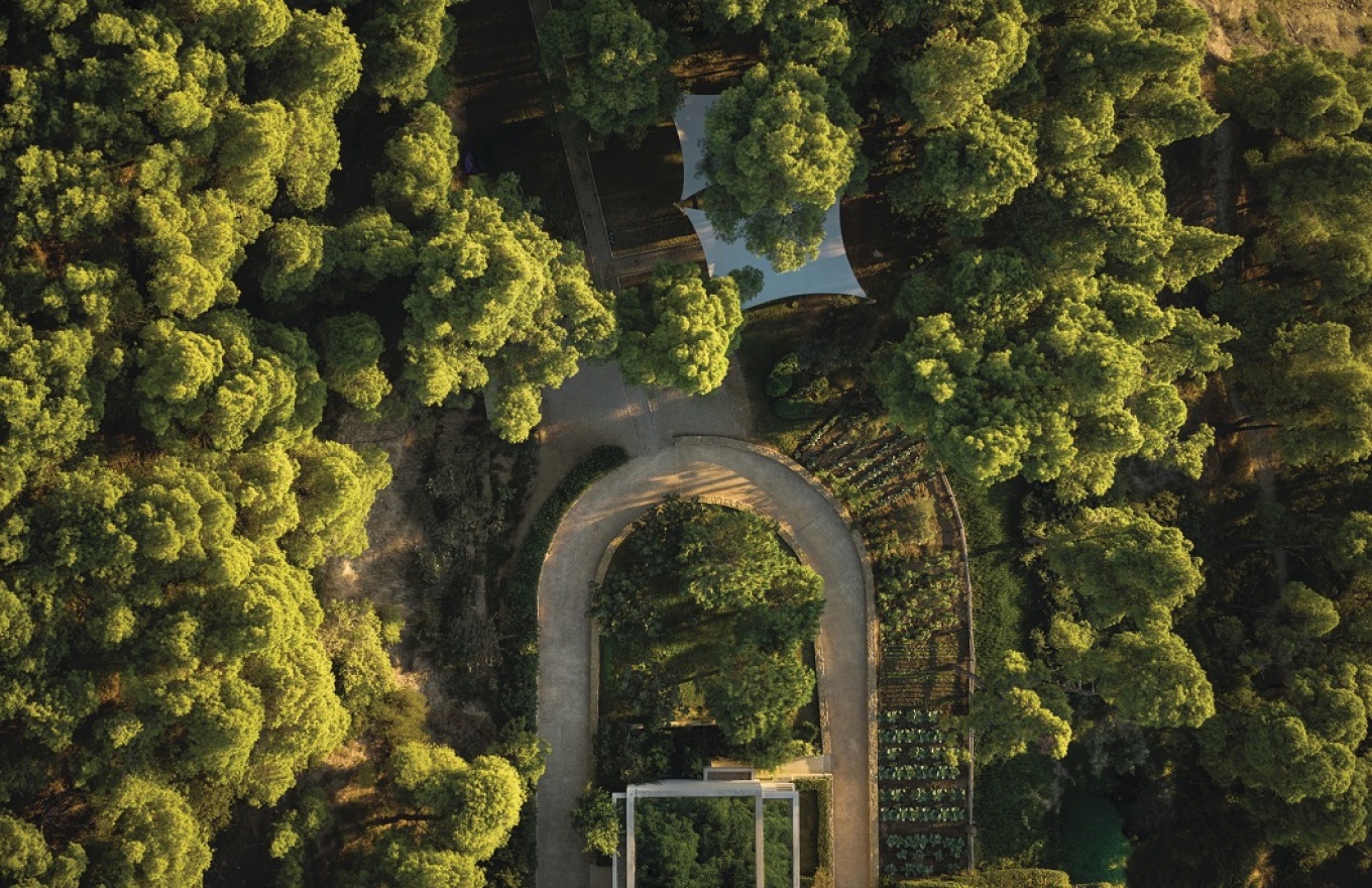kedriki_sani___sanctuary___forest_-_aerial_2880x1918