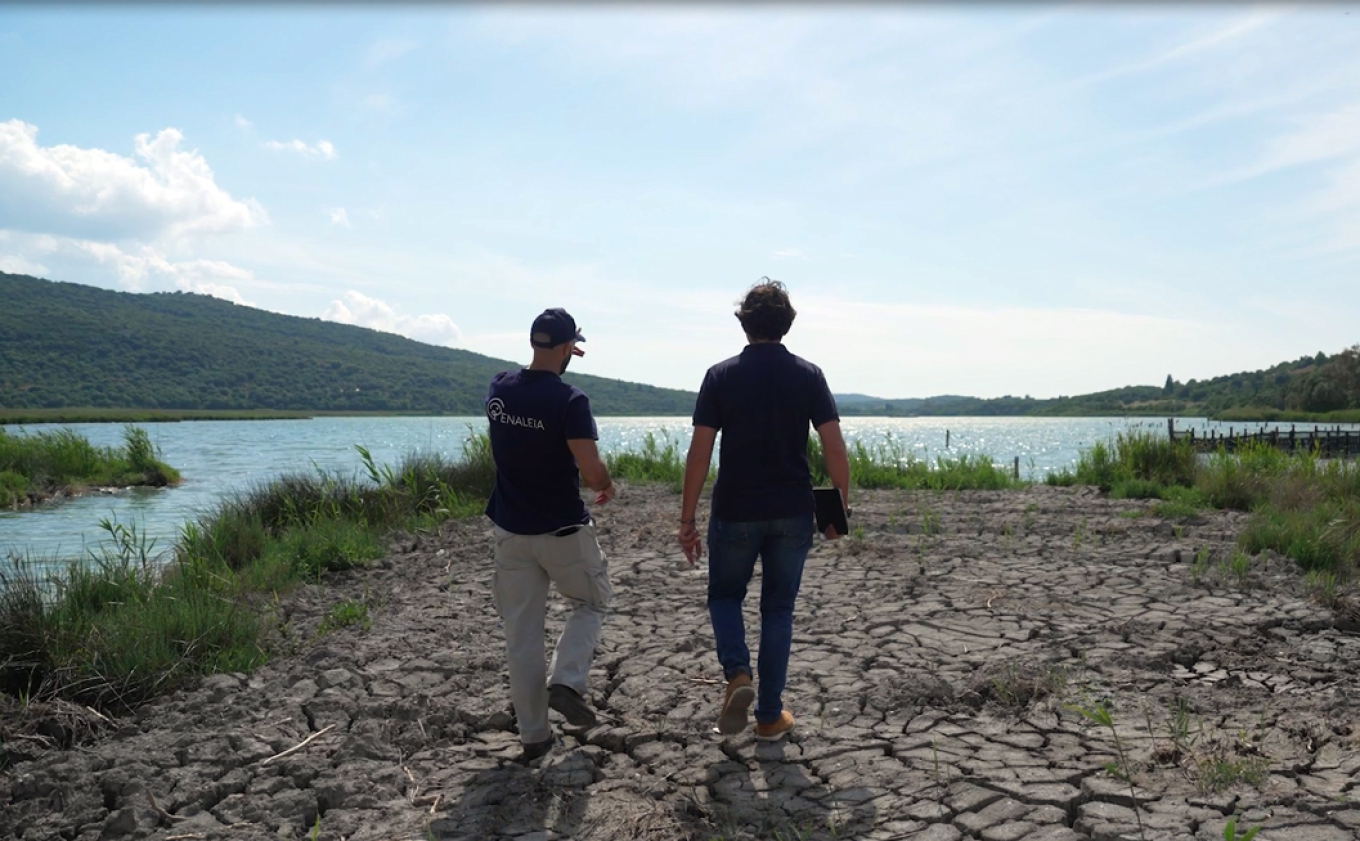 Η ιστορία ενός θαλάσσιου θαύματος που επιστρέφει