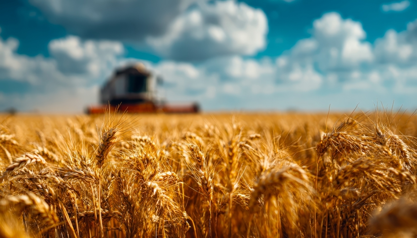 Οικονομική ανάπτυξη με κέντρο τη γη