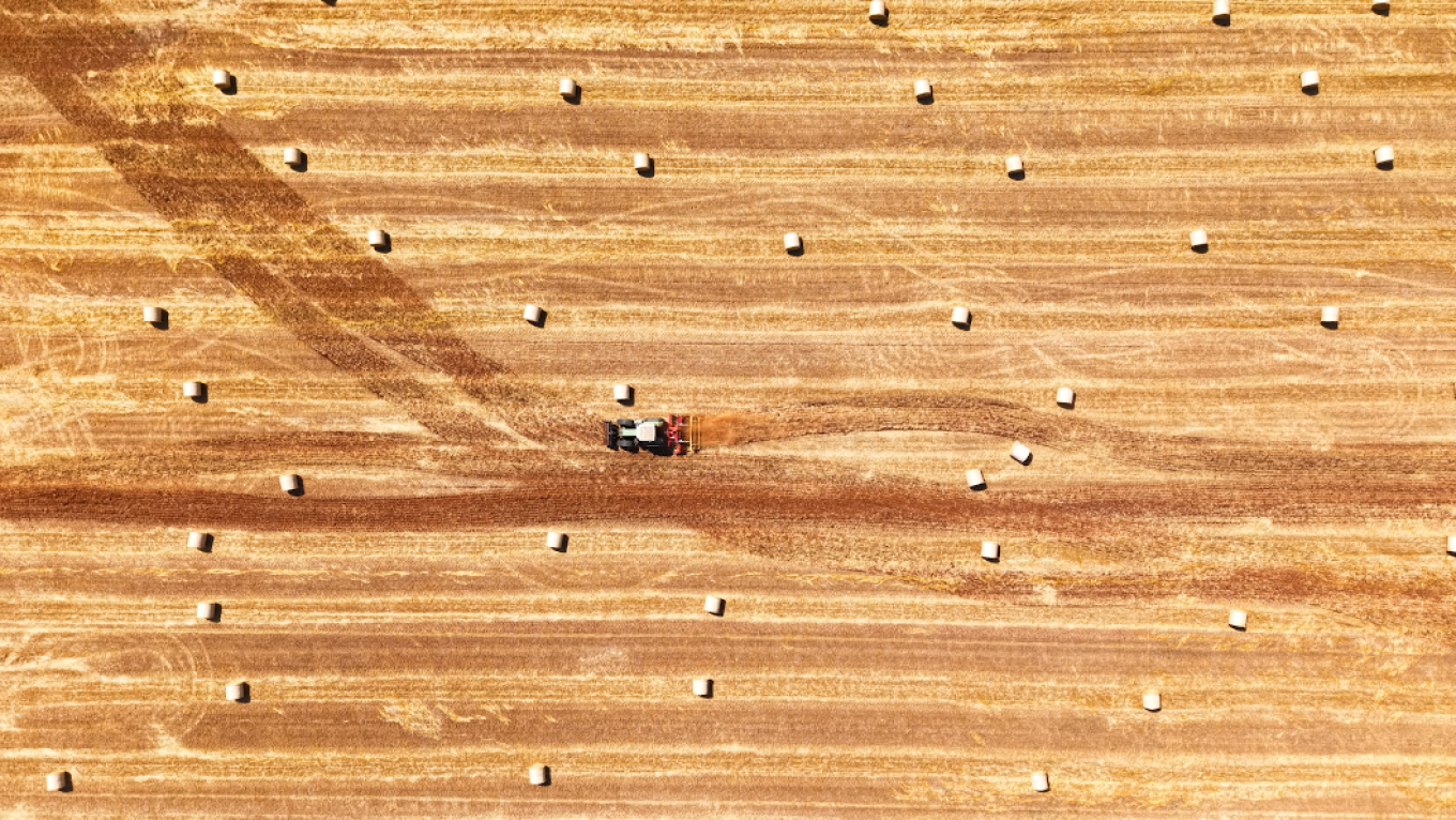 Βιώσιμες καλλιέργειες με ρίζες στον τόπο και στους ανθρώπους