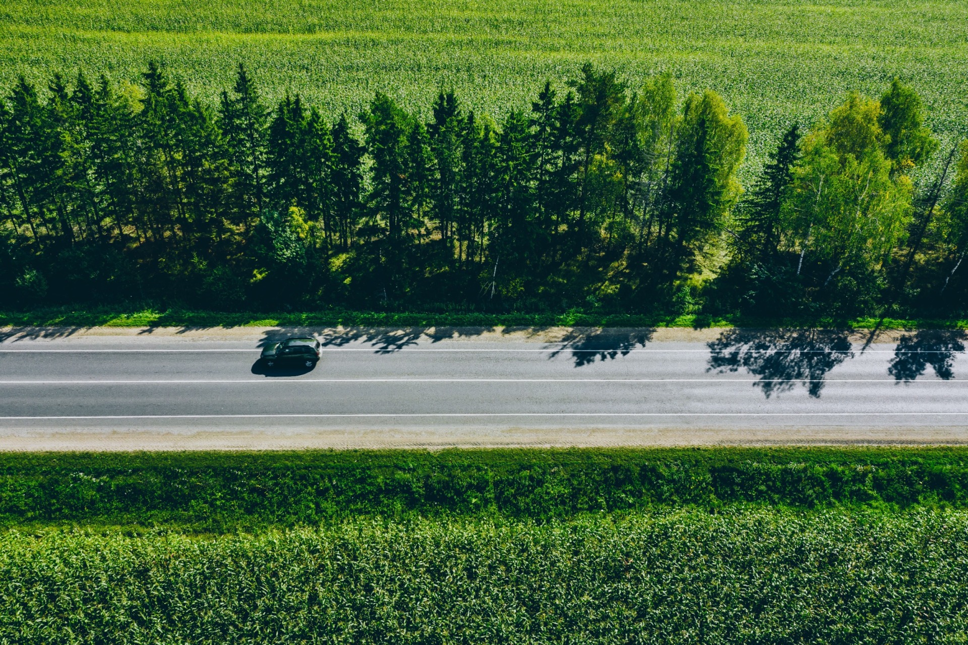  Ηλεκτροκίνηση, για μείωση των εκπομπών ρύπων και αναστροφή της κλιματικής κρίσης 