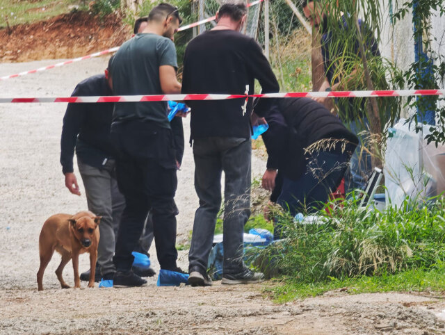 Άγρια δολοφονία ηλικιωμένης στη Σαλαμίνα: Τη χτύπησαν με μπουκάλι στο κεφάλι - Έχει και τραύματα από μαχαίρι στα χέρια της