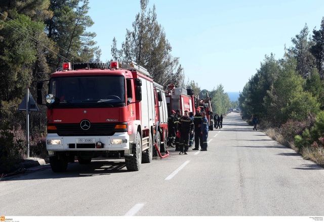 Προσλήψεις 19 ιδιωτών στην Πυροσβεστική, δείτε τις ειδικότητες | Επικαιρότητα στο PlusTV.gr