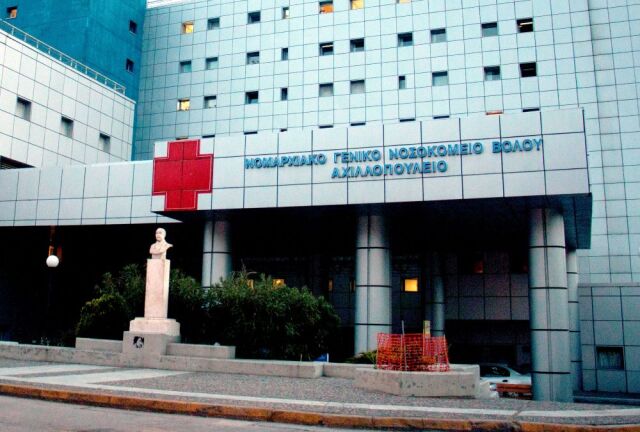 Βόλος: 48χρονος έπεσε από δέντρο και δίνει μάχη για τη ζωή του | Επικαιρότητα στο PlusTV.gr