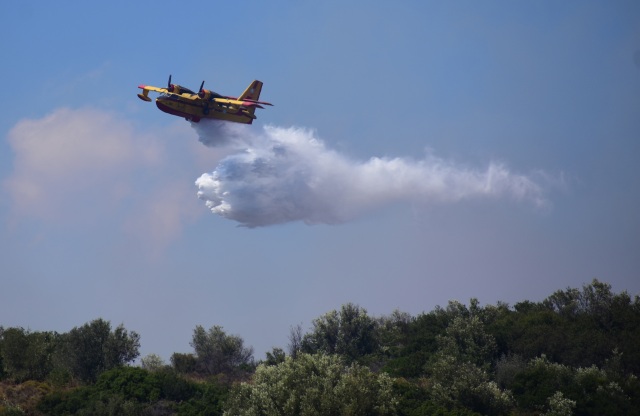 Φωτιά στην Χαλκίδα, επιχειρούν πέντε εναέρια μέσα | Επικαιρότητα στο PlusTV.gr
