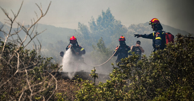 Τουλάχιστον 40 αγροτοδασικές πυρκαγιές το τελευταίο εικοσιτετράωρο | Επικαιρότητα στο PlusTV.gr