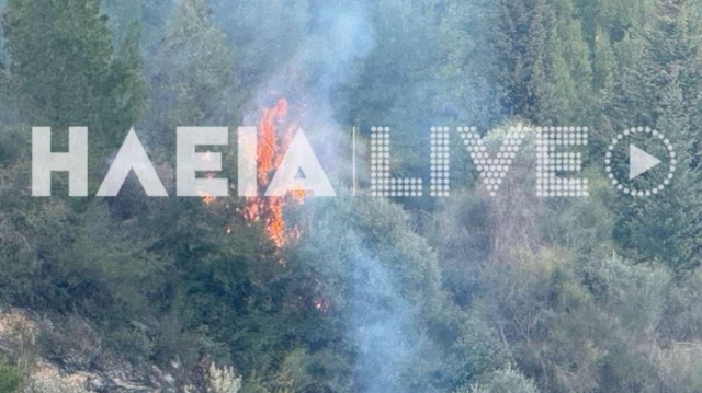 Φωτιά σε δάσος στον Πύργο - Υπό μερικό έλεγχο το μέτωπο