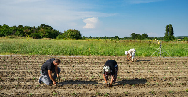 ΝΕΕΣ ΡΥΘΜΙΣΕΙΣ ΓΙΑ ΤΟΥΣ ΑΓΡΟΤΕΣ: ΠΑΡΑΤΑΣΗ ΕΩΣ ΤΟ ΤΕΛΟΣ ΤΟΥ ΕΤΟΥΣ ΓΙΑ ΧΡΗΜΑΤΟΔΟΤΗΣΗ ΚΑΙ ΑΓΡΟΤΙΚΑ ΑΚΙΝΗΤΑ